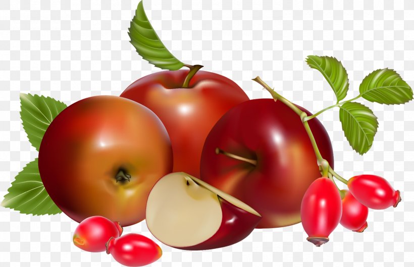 Apple Rose Hip Barbados Cherry Cherry Tomato, PNG, 1500x970px, Apple, Accessory Fruit, Acerola, Acerola Family, Barbados Cherry Download Free