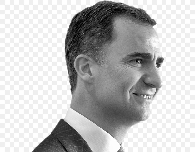 Felipe VI Of Spain King Of Spain Monarch Filipe Borboikoaren Aldarrikapena, PNG, 570x640px, Felipe Vi Of Spain, Black And White, Business Executive, Cheek, Chin Download Free