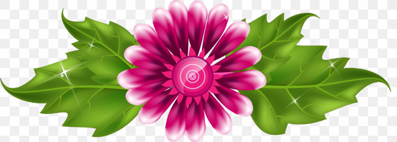 Flower Border Flower Background, PNG, 1170x419px, Flower Border, Annual Plant, Daisy Family, Flower, Flower Background Download Free