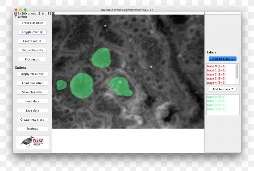 ImageJ Information National Institutes Of Health, PNG, 2222x1500px, Imagej, Computer Software, Documentation, Free Software, Gdk Download Free