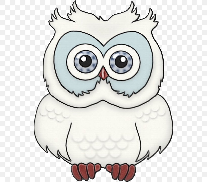 Owl Bird White Bird Of Prey Head, PNG, 552x720px, Watercolor, Bird, Bird Of Prey, Cartoon, Eastern Screech Owl Download Free