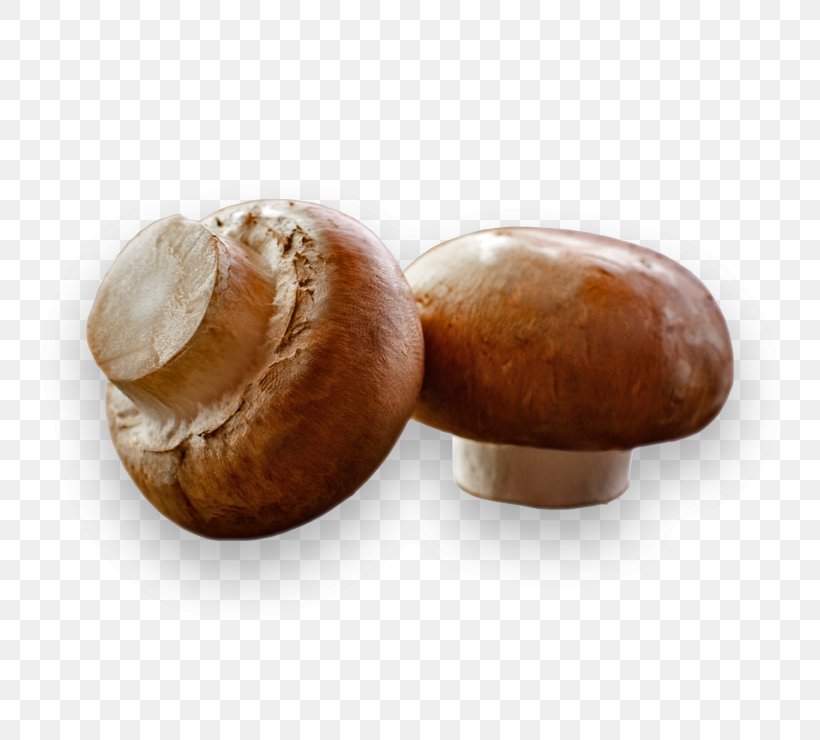 Common Mushroom Edible Mushroom Shiitake Oyster Mushroom, PNG, 740x740px, Common Mushroom, Cream Of Mushroom Soup, Edible Mushroom, Fungus, Ingredient Download Free