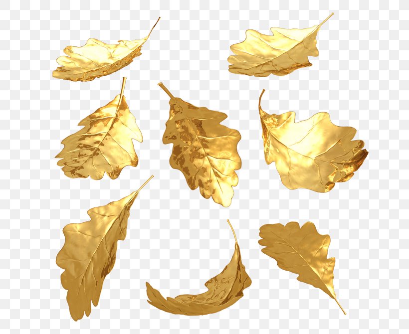 Gold Leaf 3D Computer Graphics, PNG, 670x670px, 3d Computer Graphics, Gold, Gold Leaf, Leaf, Threedimensional Space Download Free