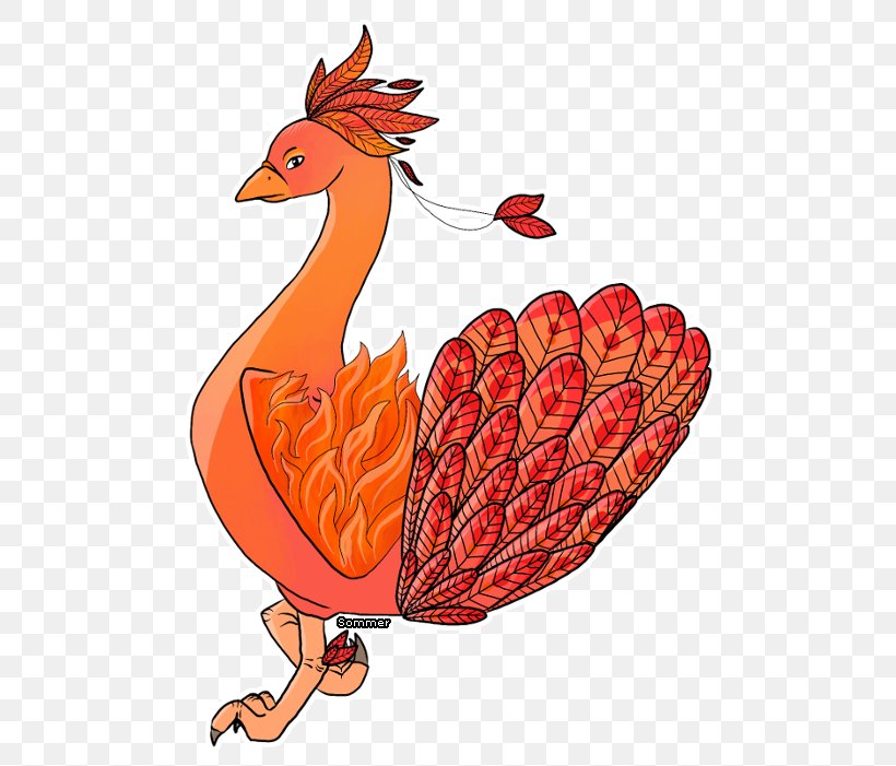 Rooster Illustration Cartoon Chicken As Food Beak, PNG, 516x701px, Rooster, Art, Beak, Bird, Cartoon Download Free