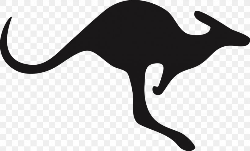 Silhouette Australia Kangaroo Whiskers, PNG, 1024x619px, Silhouette, Australia, Black, Black And White, Carnivoran Download Free