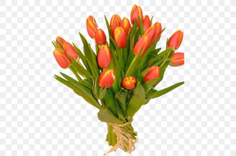 Cut Flowers Tulip Rose Yellow, PNG, 550x540px, Cut Flowers, Blue, Blue Rose, Floral Design, Florist Download Free
