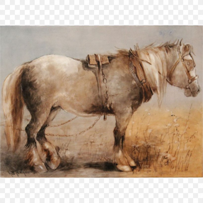 Percheron Mustang Stallion Foal Pony, PNG, 1024x1024px, Percheron, Breed, Bridle, Draft Horse, Foal Download Free