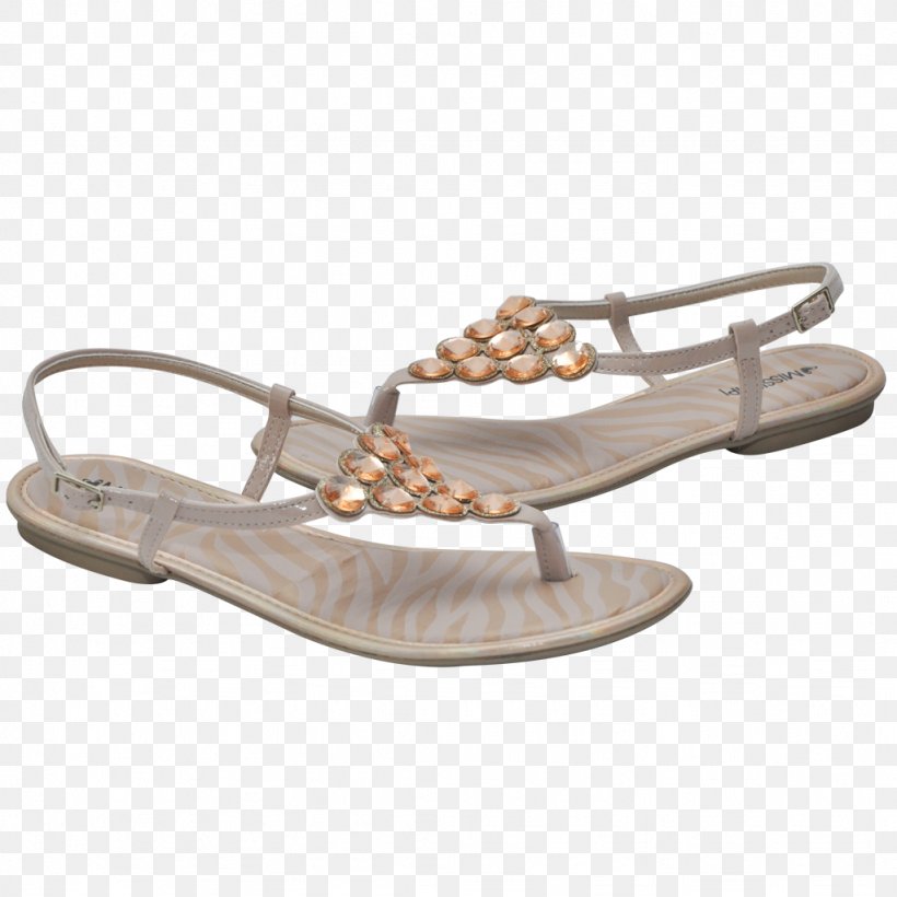 Sandal Flip-flops High-heeled Shoe Footwear, PNG, 1024x1024px, Sandal, Beige, Boot, Family, Flip Flops Download Free