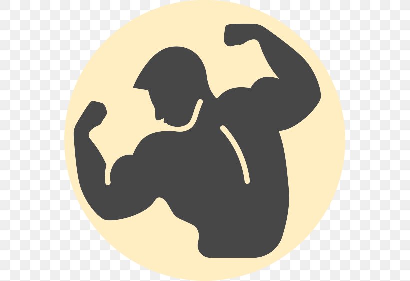 Clip Art Exercise Image Bodybuilding, PNG, 562x562px, Exercise, Bench Press, Bodybuilding, Fitness Centre, Muscle Download Free