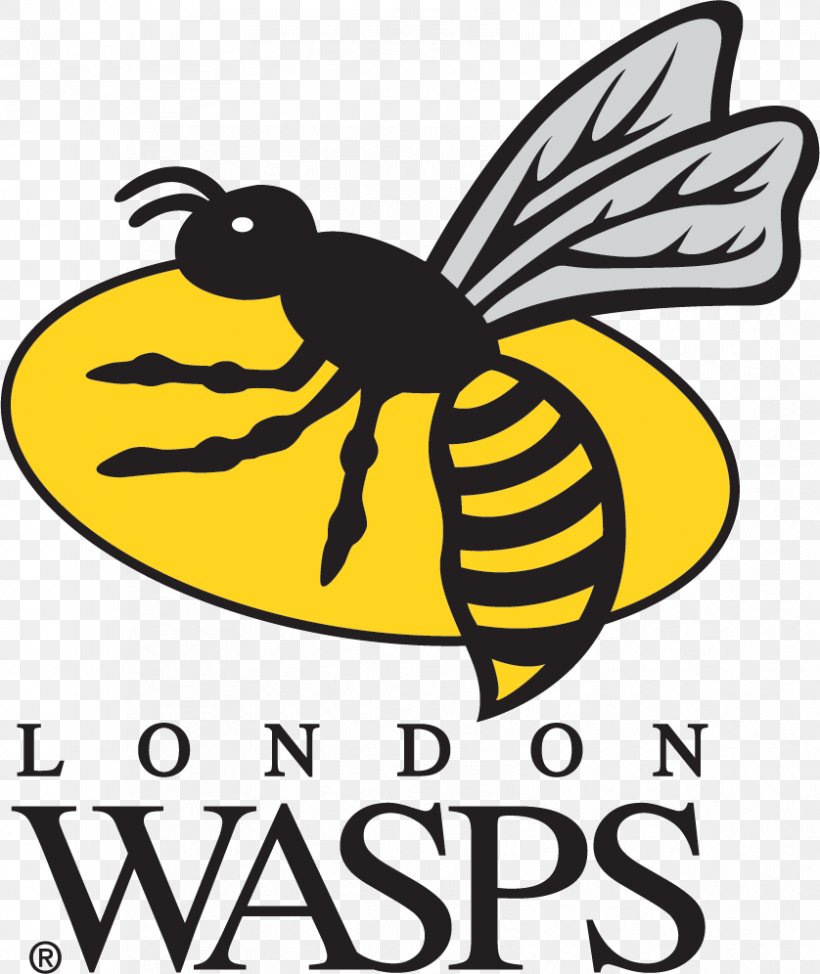 Wasps RFC London Irish Leicester Tigers English Premiership Ricoh Arena, PNG, 838x996px, Wasps Rfc, Anglo Welsh Cup, Area, Artwork, Bee Download Free