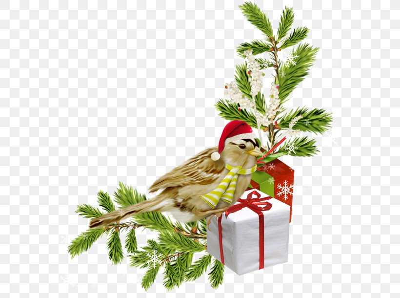 Christmas Day New Year Centerblog Christmas Tree, PNG, 571x610px, 2019, Christmas Day, Beak, Bird, Blog Download Free