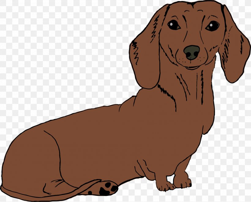 Dachshund Puppy Dog Breed Companion Dog Hound, PNG, 1800x1453px, Dachshund, Breed, Carnivoran, Cartoon, Companion Dog Download Free