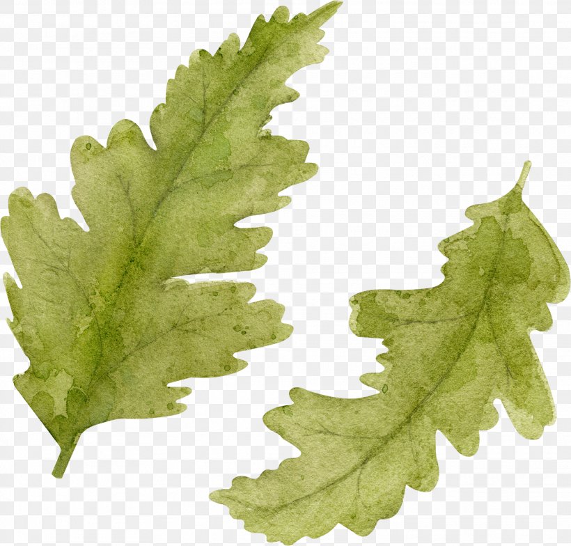 Leaf Vegetable Plant Stem Clip Art, PNG, 1926x1843px, Leaf, Grape Leaves, Leaf Vegetable, Megabyte, Plant Download Free