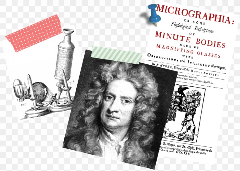 Robert Hooke Cell Scientist Microbiology Microscope, PNG, 842x600px, Robert Hooke, Advertising, Antonie Van Leeuwenhoek, Biology, Brand Download Free