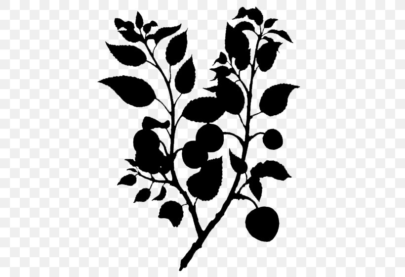 Twig Plant Stem Flower Leaf Fruit, PNG, 560x560px, Twig, Blackandwhite, Botany, Branch, Flower Download Free