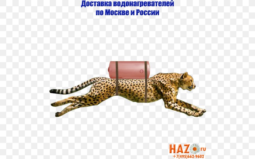 Cheetah Pattern, PNG, 512x512px, Cheetah, Carnivoran, Cat Like Mammal Download Free