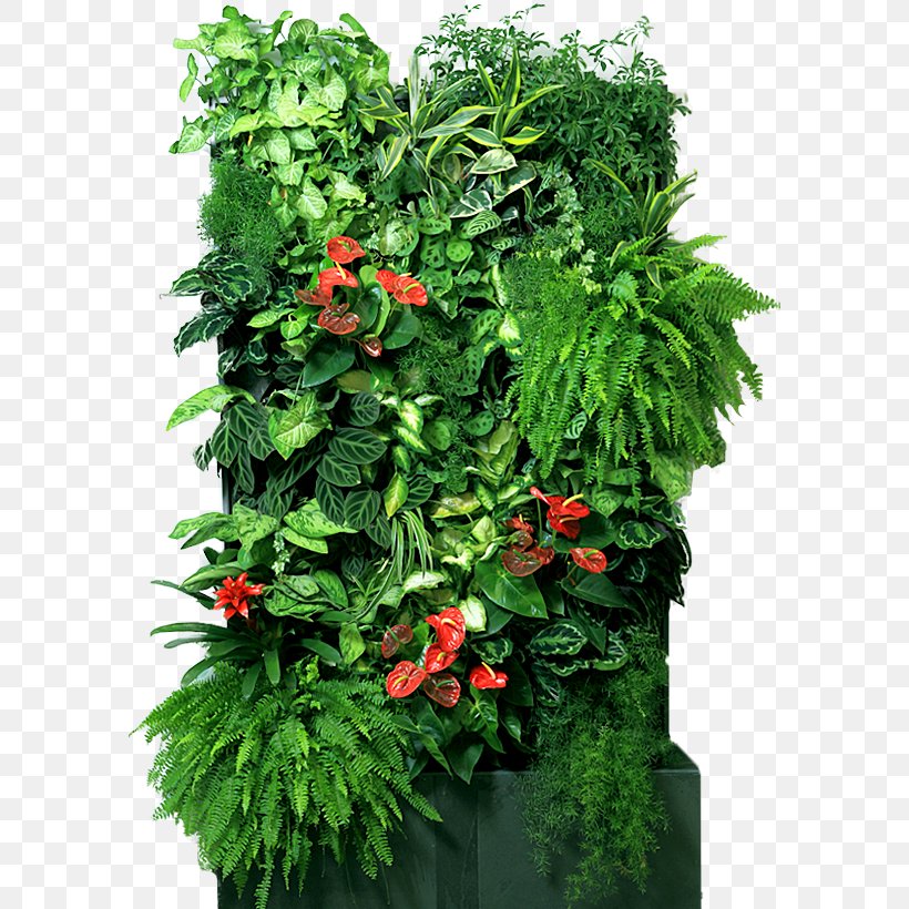 Houseplant Flowerpot Green Wall Garden, PNG, 588x820px, Plant, Annual Plant, Cut Flowers, Evergreen, Flower Download Free