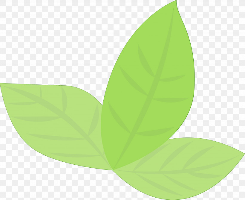 Leaf Green Plant Logo Flower, PNG, 3190x2599px, Watercolor, Flower, Green, Leaf, Logo Download Free