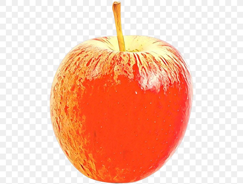 Orange, PNG, 500x623px, Cartoon, Apple, Food, Fruit, Malus Download Free