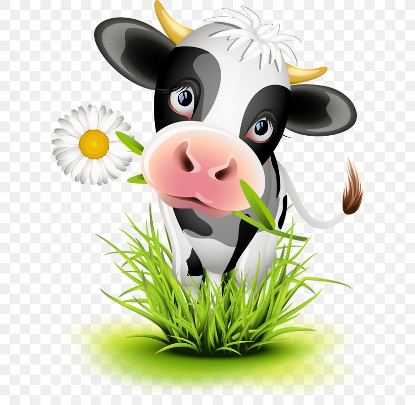 Cattle Calf Cartoon Illustration, PNG, 654x800px, Jersey Cattle, Calf, Cartoon, Cattle, Dairy Cattle Download Free