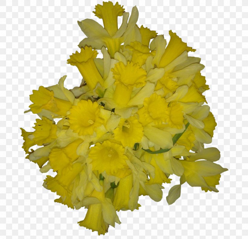 Cut Flowers Chrysanthemum Wedding Yellow, PNG, 1280x1235px, Flower, Bride, Brides, Chrysanthemum, Cut Flowers Download Free