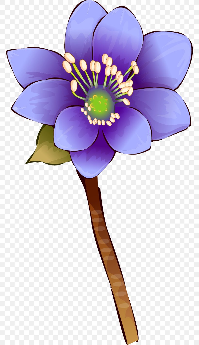 Drawing Photography Royalty-free, PNG, 771x1420px, Drawing, Anemone, Art, Common Daisy, Cut Flowers Download Free