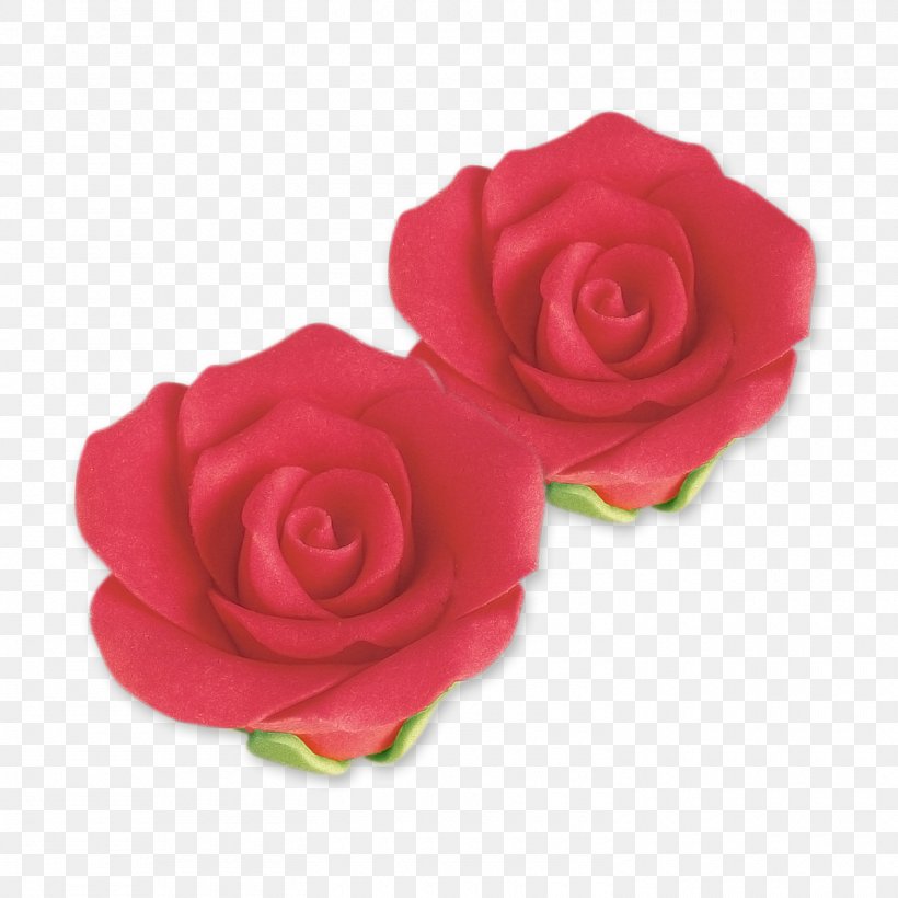 Garden Roses Cabbage Rose Floribunda Cut Flowers Petal, PNG, 1500x1500px, Garden Roses, Cabbage Rose, Cut Flowers, Floribunda, Flower Download Free