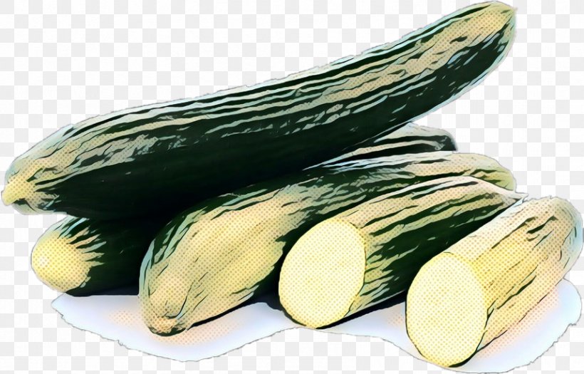 Summer Plant, PNG, 858x550px, Cucumber, Armenian Cucumber, Cucumber M, Cucumis, Eggplant Download Free