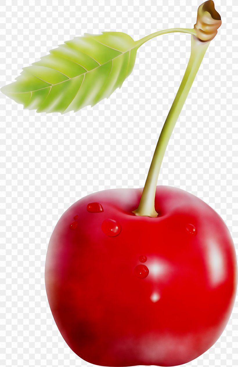 Superfood Apple Natural Foods, PNG, 2559x3951px, Food, Accessory Fruit, Acerola Family, Apple, Black Cherry Download Free