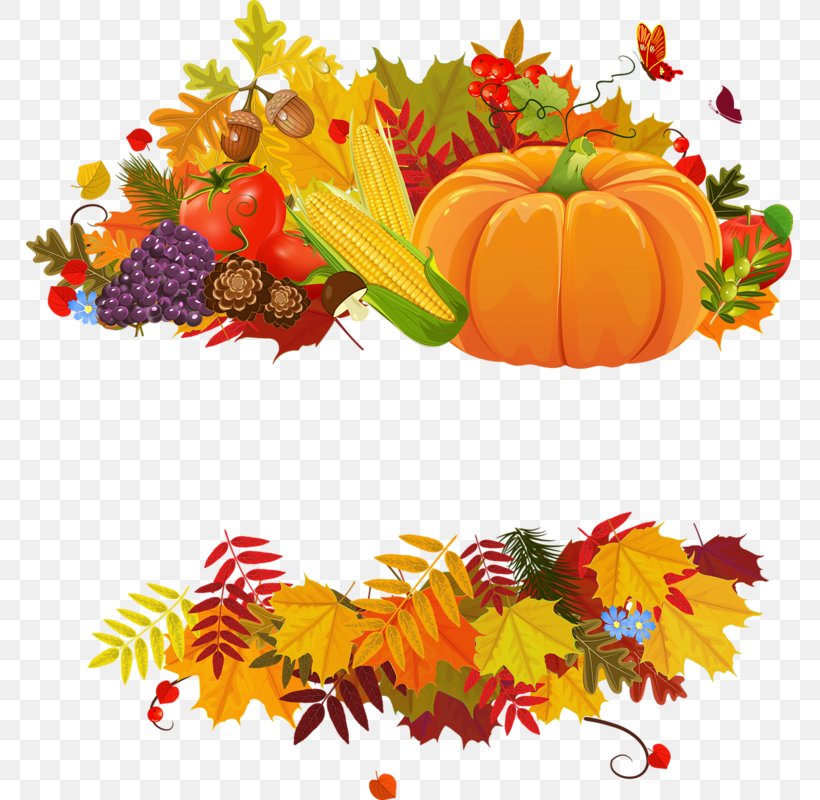 Thanksgiving Desktop Wallpaper Clip Art, PNG, 767x800px, Thanksgiving, Calabaza, Cucurbita, Floral Design, Flower Download Free
