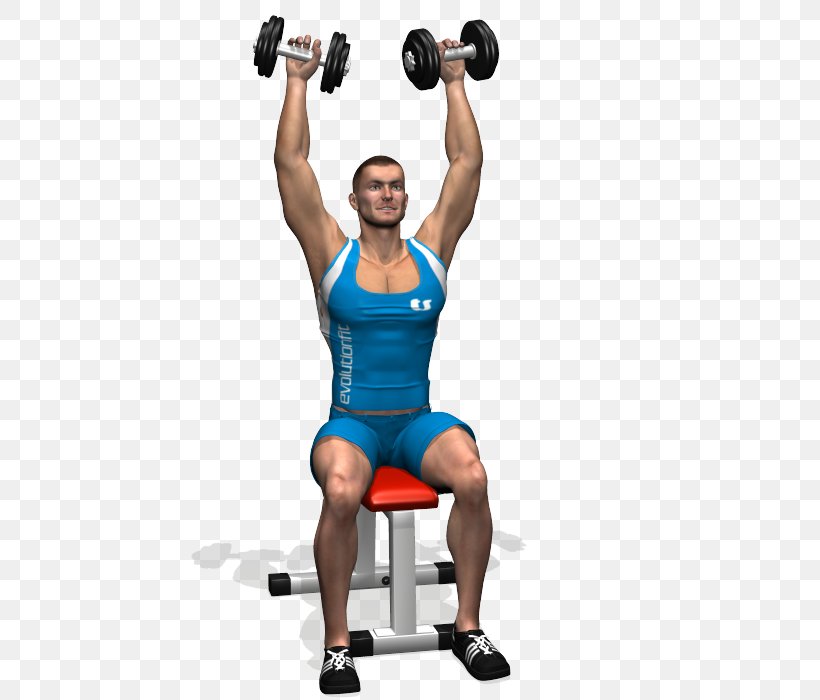 Weight Training Dumbbell Exercise Overhead Press Fly, PNG, 700x700px, Watercolor, Cartoon, Flower, Frame, Heart Download Free