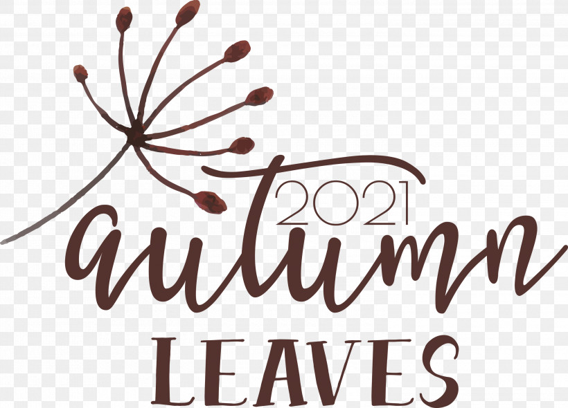 Autumn Leaves Autumn Fall, PNG, 3000x2161px, Autumn Leaves, Autumn, Calligraphy, Fall, Flower Download Free
