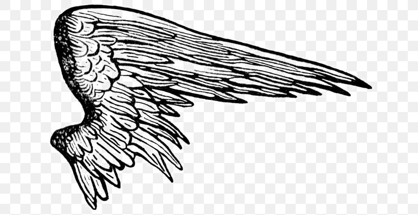 Drawing Angel Clip Art, PNG, 650x422px, Drawing, Angel, Art, Artwork, Bald Eagle Download Free