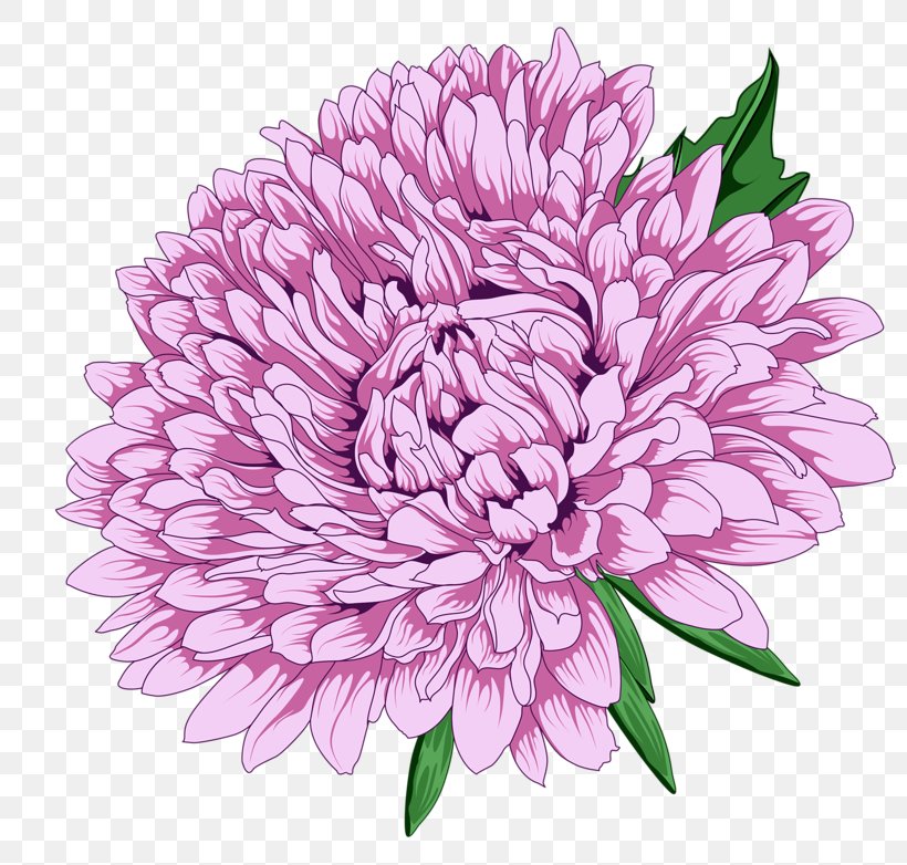 Napkin Flower Peony, PNG, 800x782px, Napkin, Blume, Chrysanths, Cut Flowers, Dahlia Download Free