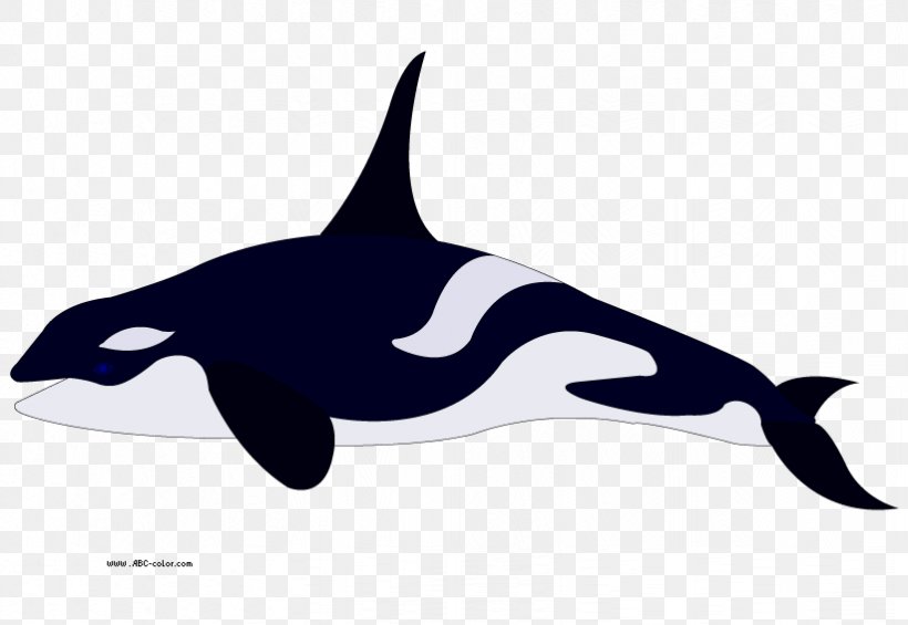 Pygmy Killer Whale Dolphin Coloring Book Clip Art, PNG, 822x567px, Killer Whale, Beak, Blue Whale, Coloring Book, Common Bottlenose Dolphin Download Free