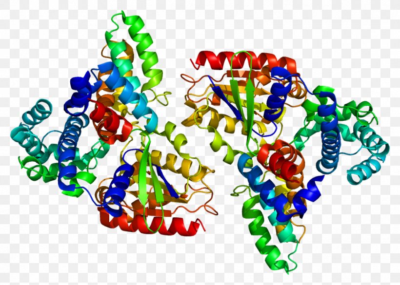 RGS16 Regulator Of G Protein Signaling GNAI2, PNG, 985x703px, Watercolor, Cartoon, Flower, Frame, Heart Download Free