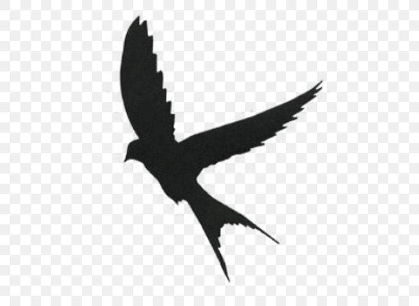 Silhouette Mockingbird Swallow, PNG, 600x600px, Silhouette, Beak, Bird, Black And White, Drawing Download Free