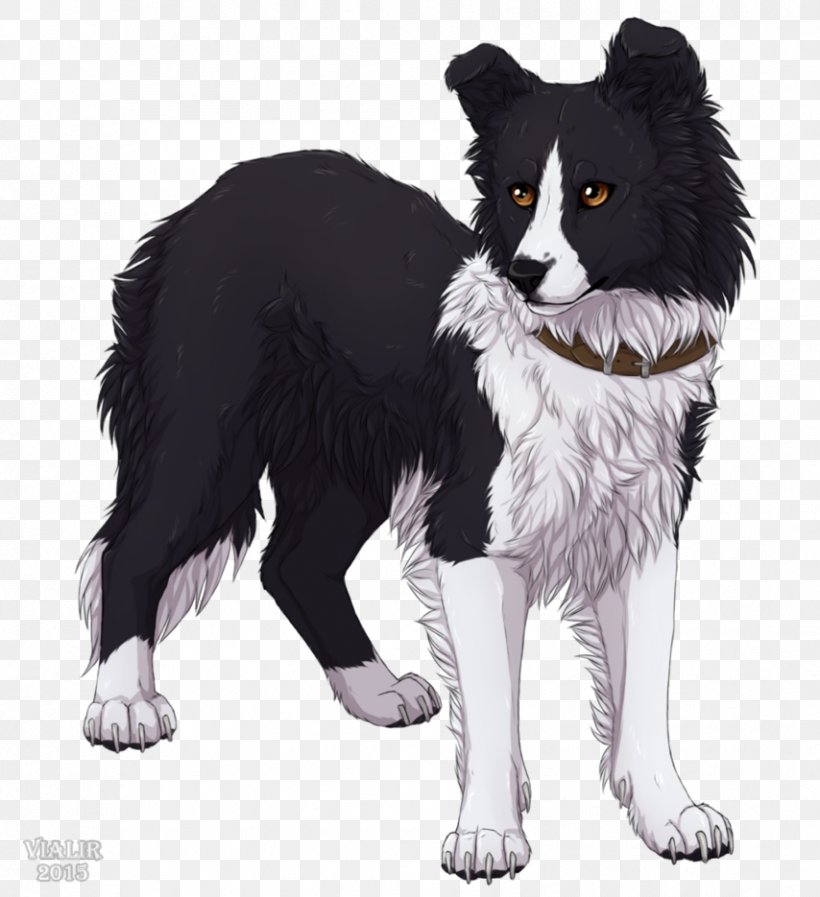 The Border Collie Survivors Fan Art Drawing, PNG, 854x935px, Border Collie, Art, Carnivoran, Character, Collie Download Free