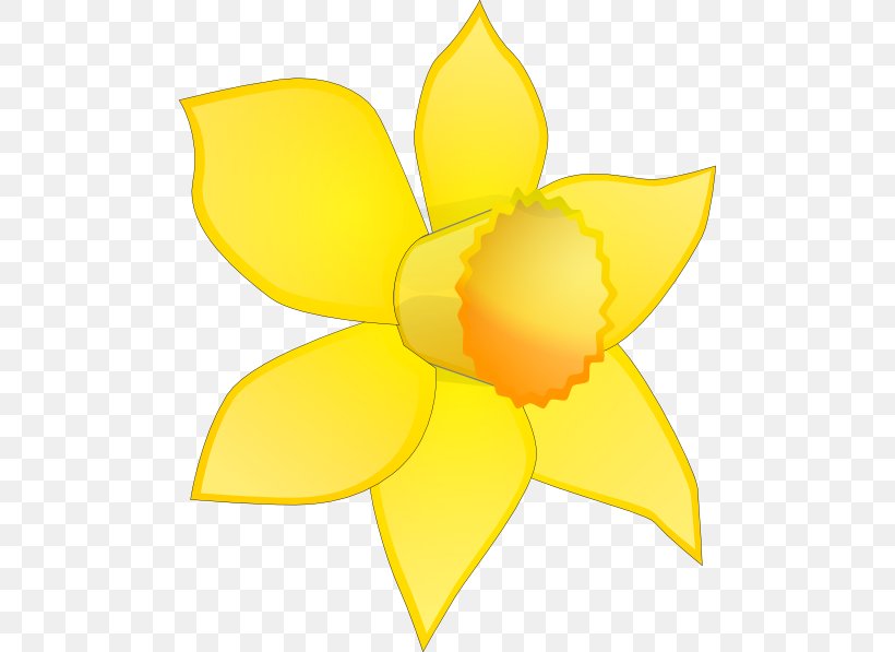 Daffodil Flower Free Content Clip Art, PNG, 492x597px, Daffodil, Blog,  Cartoon, Cut Flowers, Flora Download Free