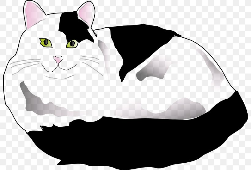 Persian Cat Kitten Clip Art, PNG, 800x555px, Persian Cat, Black, Black And White, Black Cat, Carnivoran Download Free