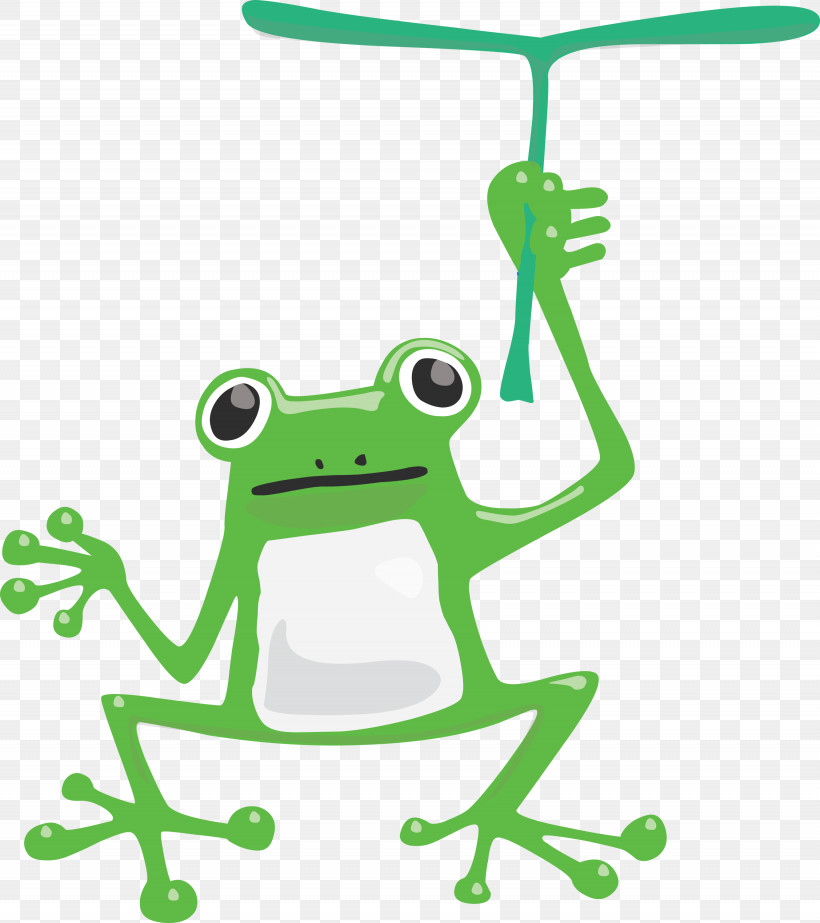 True Frog Frogs Toad Tree Frog Animal Figurine, PNG, 2665x3000px, Frog, Animal Figurine, Cartoon, Frogs, Green Download Free