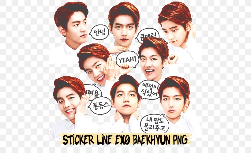Baekhyun EXO Nose Eyebrow Human Behavior, PNG, 500x500px, Baekhyun, Album Cover, Behavior, Conversation, Drama Download Free