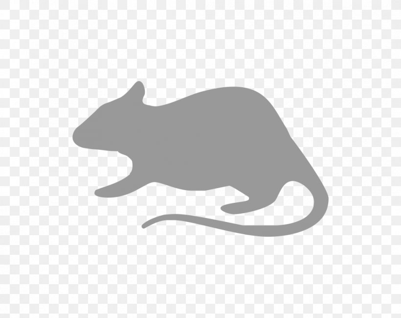 Cat Rodent Mouse Rat Gerbil, PNG, 1008x798px, Cat, Animal, Black, Black And White, Canidae Download Free