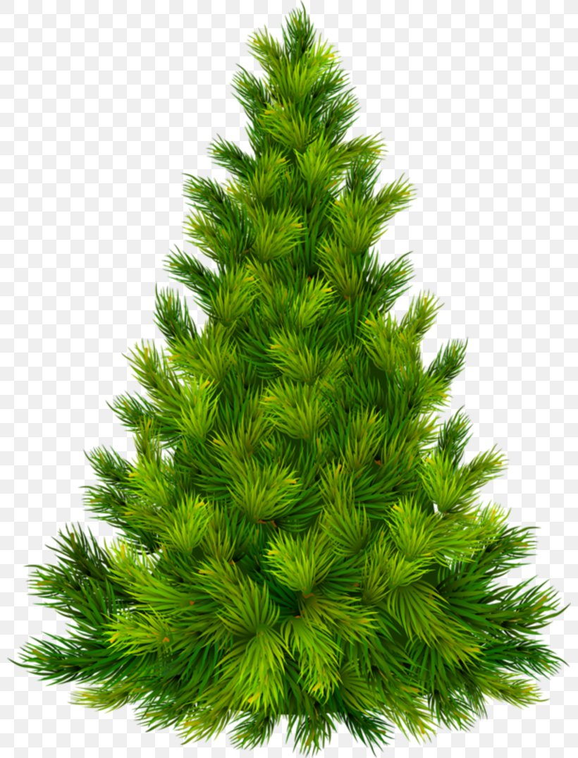 Christmas Tree Christmas And Holiday Season Christmas Eve Clip Art, PNG, 800x1075px, Christmas, Advent, Advent Sunday, Biome, Boxing Day Download Free