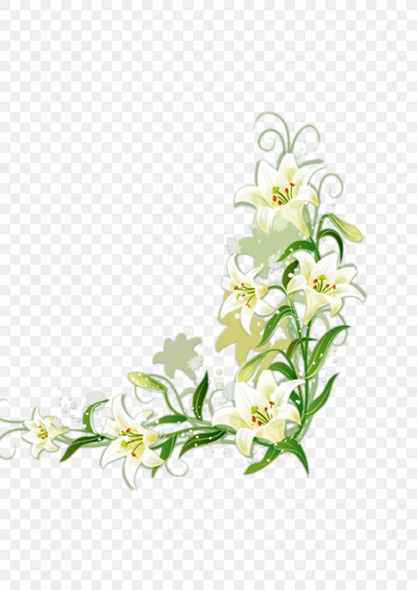 Lilium Candidum Border Flowers, PNG, 2480x3508px, Lilium Candidum, Art, Border Flowers, Branch, Cut Flowers Download Free