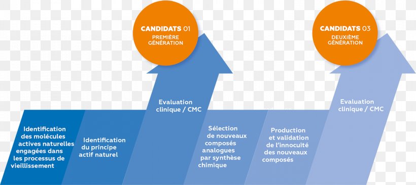 Strategy Biophytis Screening Graphic Design, PNG, 1500x671px, Strategy, Advertising, Brand, Business, Communication Download Free