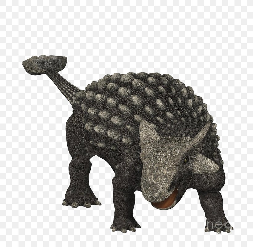 Ankylosaurus Late Cretaceous Gastonia Dinosaur Pachycephalosaurus, PNG, 800x800px, Ankylosaurus, Animal Figure, Ankylosauria, Ankylosauridae, Armour Download Free