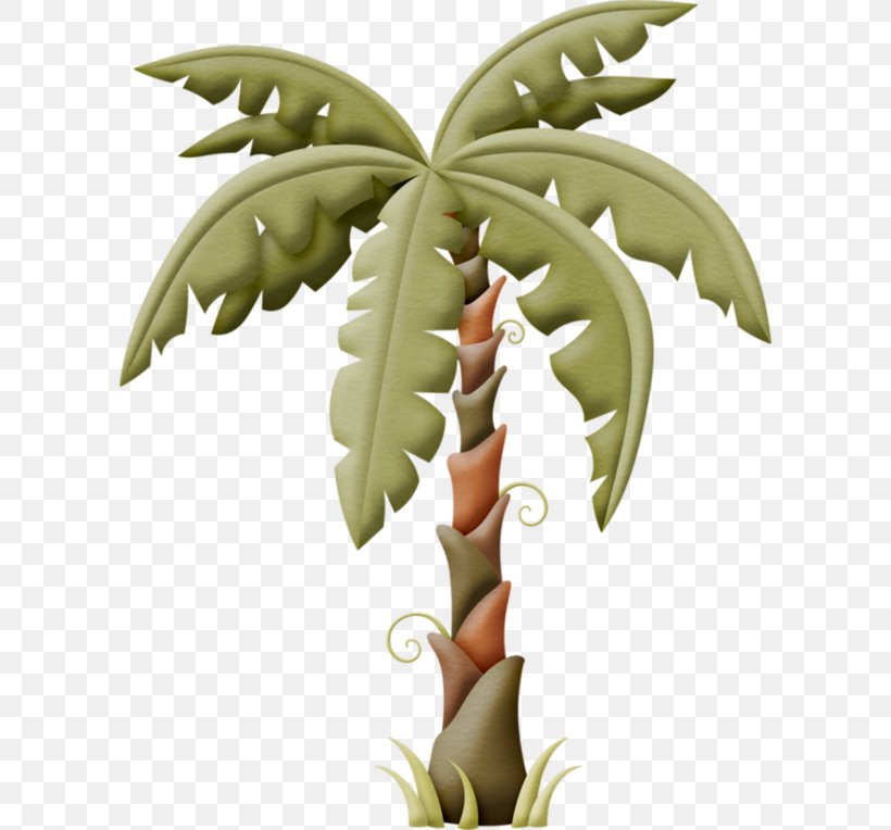 Clip Art Leaf Image Palm Trees, PNG, 600x764px, Leaf, Botany, Coconut, Drawing, Flower Download Free