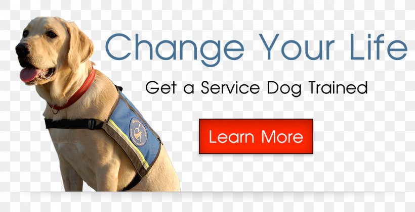 Dog Breed Service Dog Puppy Leash, PNG, 1170x600px, 2016, 2018, Dog Breed, Advertising, Brand Download Free