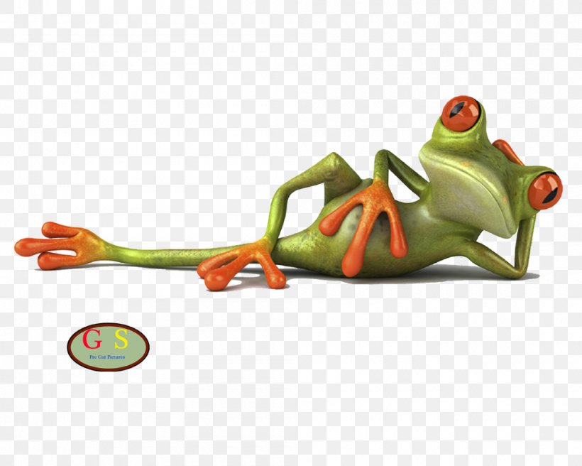 Frog Drawing Desktop Wallpaper, PNG, 1000x800px, Frog, Amphibian, Can Stock Photo, Cartoon, Crazy Frog Download Free